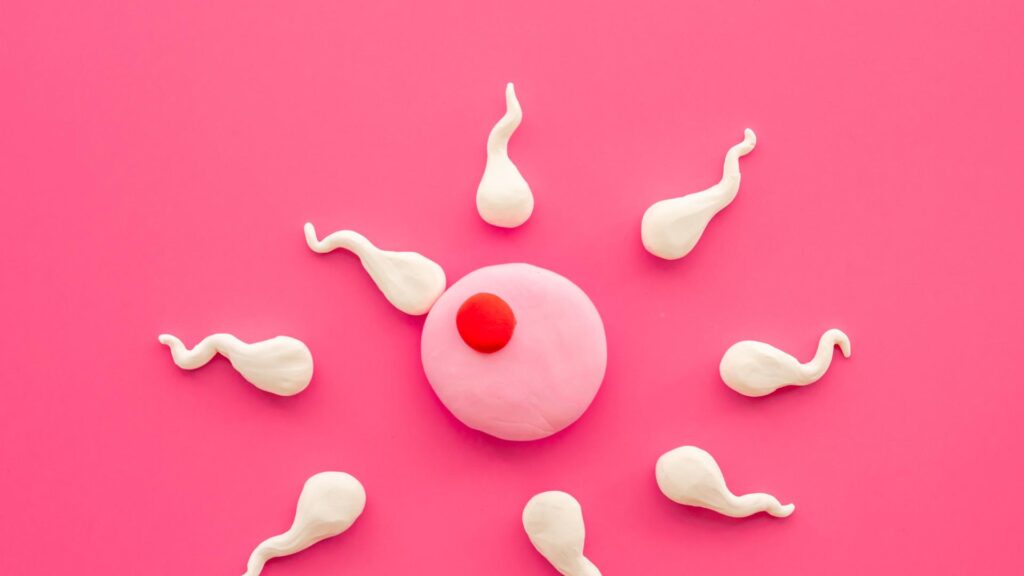 Trying to Get Pregnant Understanding and Infertility